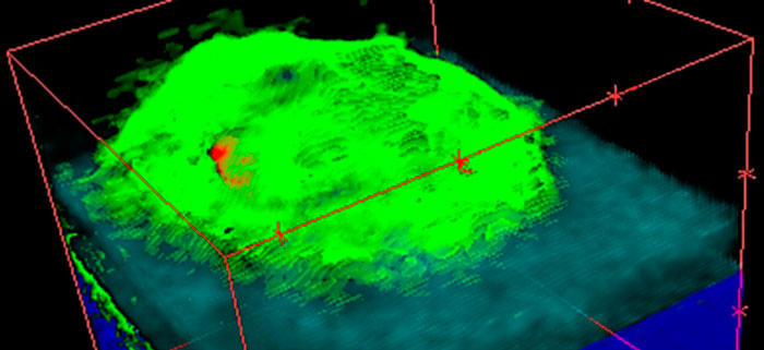 3D SIMS overlay of a single Tetrahymena cell in water ice on a silicon substrate.