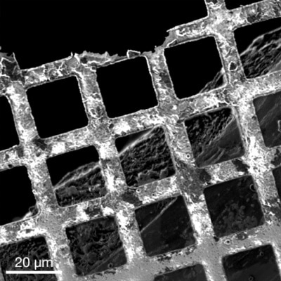 Xe Plasma FIB secondary electron image of a copper grid