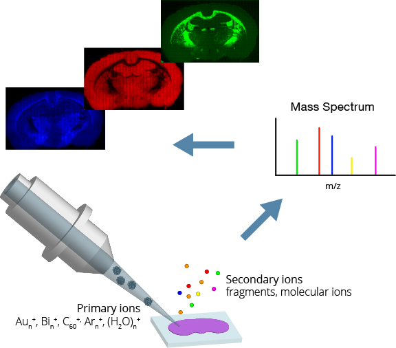 Illustration describing ToF SIMS