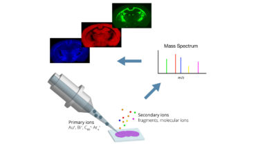 Illustration describing TOF SIMS
